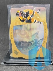 1996-97 SPx Gold Cam Neely #4 Boston Bruins Die-Cut